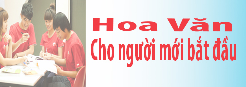 Hoa Văn Người mới bắt đầu